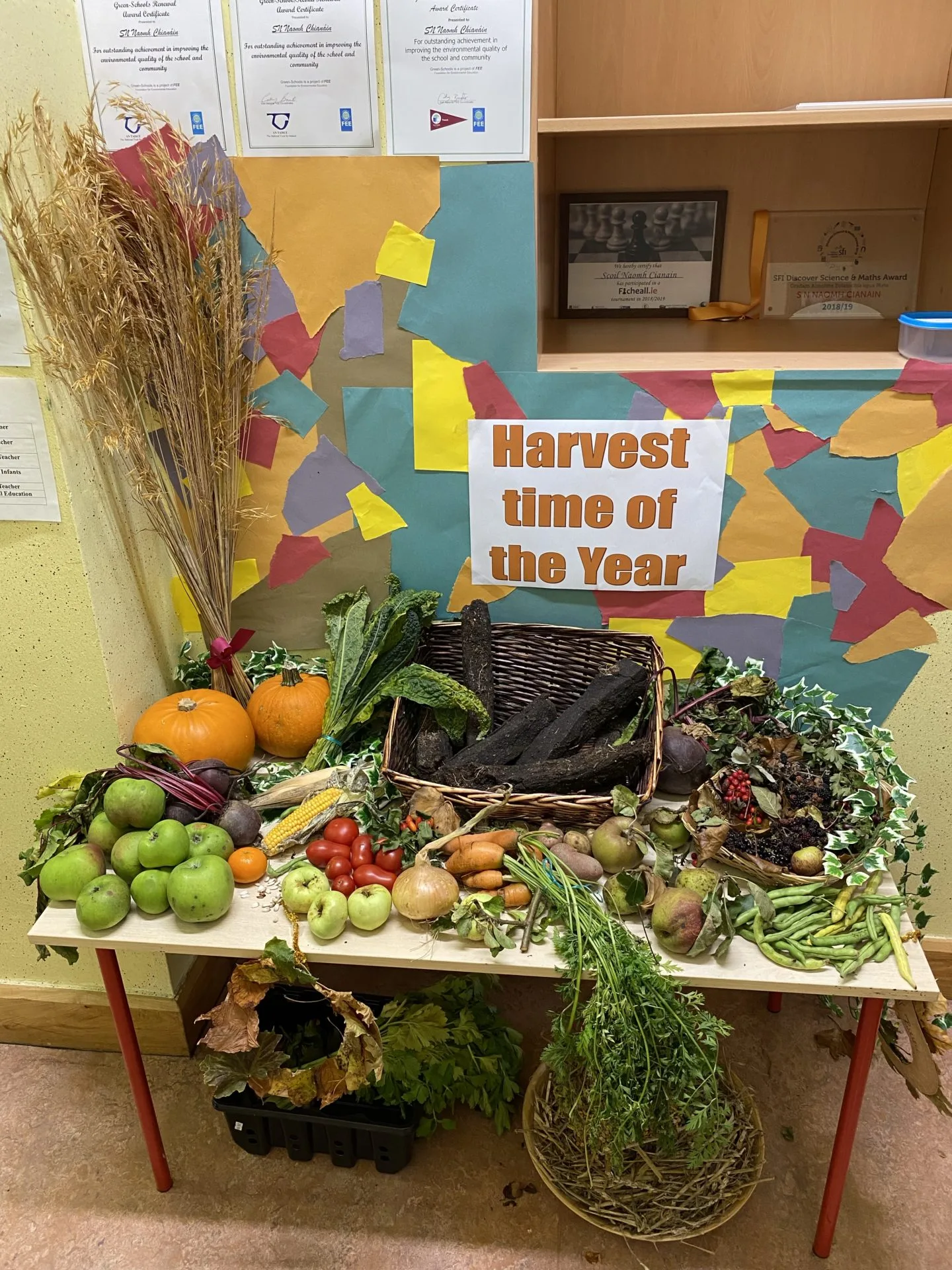 CELEBRATING THE HARVEST